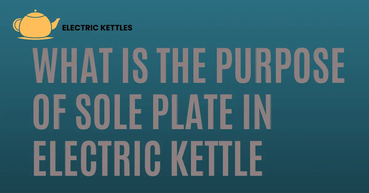 Illustration of an electric kettle highlighting the sole plate