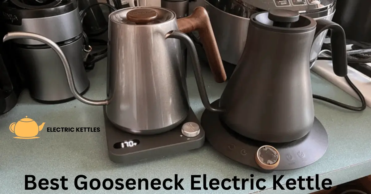 Best Gooseneck Electric Kettle