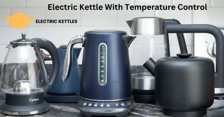 Best electric Kettle With Temperature Control